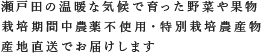 瀬戸内の温暖な気候で育った野菜や果物
完全栽培期間中農薬不使用・有機栽培・産地直送でお届けします