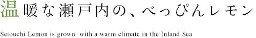 温暖な瀬戸内の、瀬戸田レモン