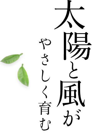 太陽と風がやさしく育む