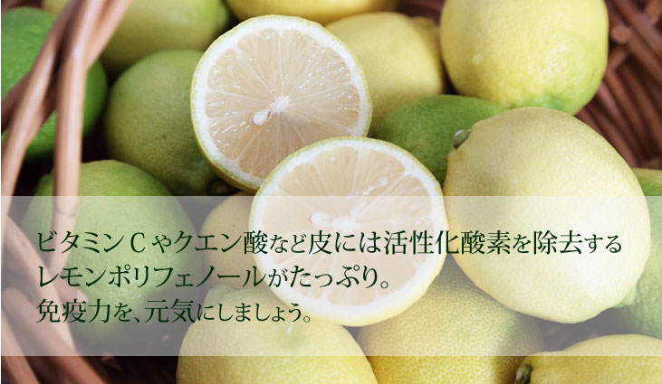 特別栽培ハウスレモン(無化学肥料/ノーワックス/防カビ剤不使用)