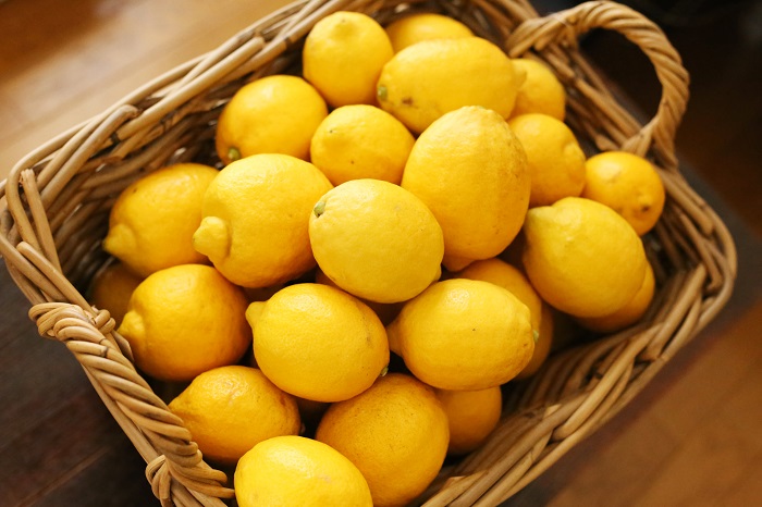 無農薬レモン・無化学肥料、超高級食材の”広島瀬戸田レモン
