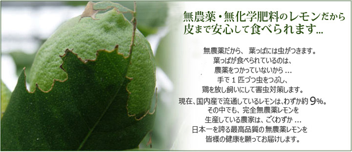 無農薬・無化学肥料のレモンだから皮まで安心して食べられます。